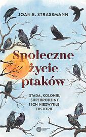 okladka